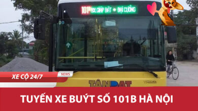 101b