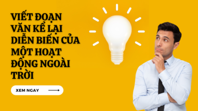 Viết đoạn Văn Kể Lại Diễn Biến Của Một Hoạt động Ngoài Trời