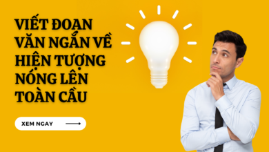 Viet Doan Van Ve Su Nong Len Toan Cau