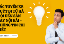 Xe buyt di san bay noi bai