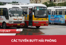 Cac Tuyen Xe Buyt Hai Phong