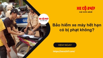 Bao Hiem Xe May Het Han Co Bi Phat Khong