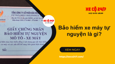 Bao hiem xe may tu nguyen la gi