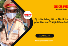 Bi tuoc giay phep lai xe tu 10 12 thang