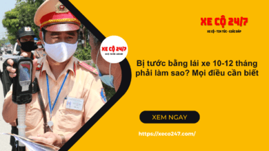 Bi tuoc giay phep lai xe tu 10 12 thang