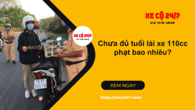 Chua Du Tuoi Lai Xe 110cc Phat Bao Nhieu