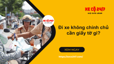 Di Xe Khong Chinh Chu Can Giay To Gi