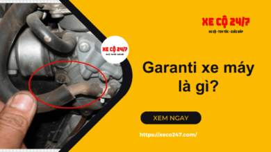 Garanti Xe May La Gi