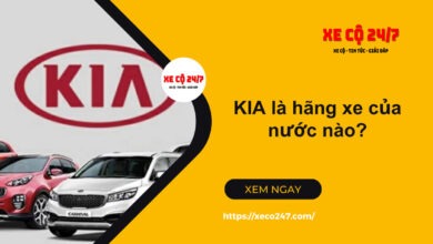 Kia La Hang Xe Cua Nuoc Nao