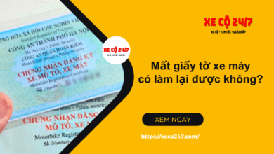 Mat Giay To Xe May Co Lam Lai Duoc Khong