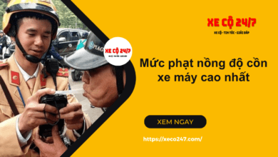 Muc Phat Nong Do Con Xe May Cao Nhat