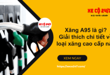 Xang a95 la gi