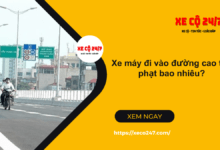 Xe may di vao duong cao toc phat bao nhieu