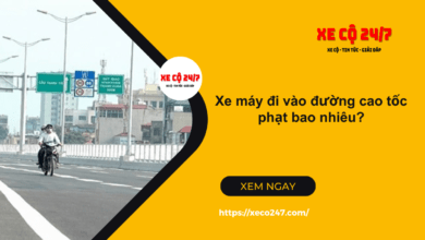 Xe may di vao duong cao toc phat bao nhieu