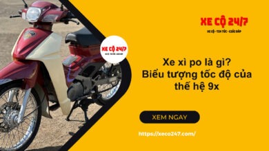 Xe xi po la gi