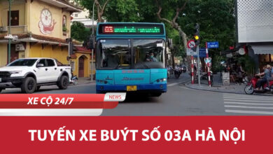 03a