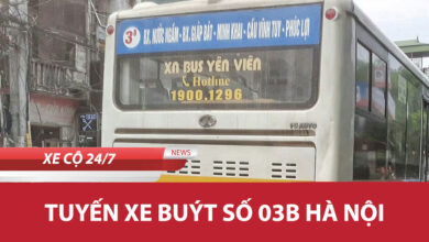 03b