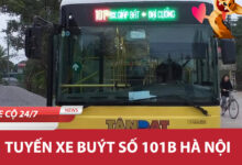101b