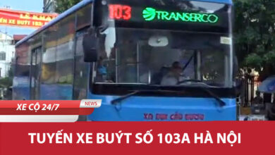 103a