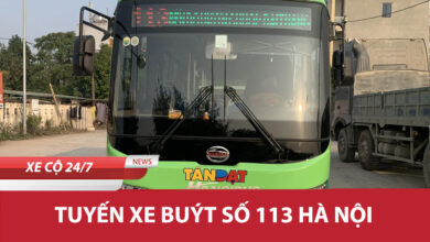113
