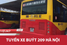 209