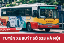 53b