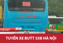 55b