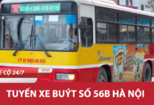 56b