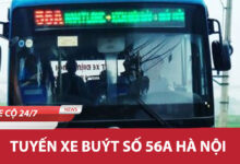 56a