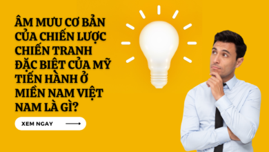 Am Muu Co Ban Cua Chien Luoc Chien Tranh Dac Biet Cua My Tien Hanh O Mien Nam Viet Nam La Gi