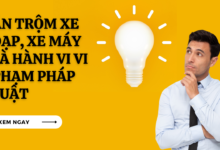 An trom xe dap la vi pham gi