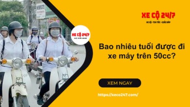 Bao Nhieu Tuoi Duoc Di Xe May Tren 50cc