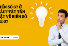 Bien so 67 o dau