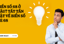 Bien so 68 o dau