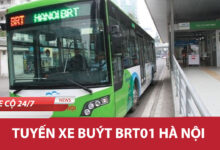 Brt01