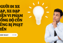 Di xe dap vi pham nong do con