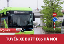 E06