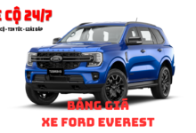 gia xe ford everest