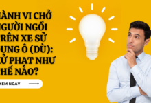 Hanh vi cho nguoi ngoi tren xe su dung o du bi xu phat vi pham hanh chinh nhu the nao