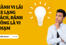 Hanh vi lai xe lang lach danh vong la vi pham