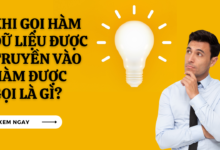 Khi goi ham du lieu duoc truyen vao ham duoc goi la gi