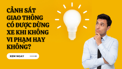 khong vi pham csgt co duoc dung xe