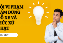 Loi vi pham cam dung do xe
