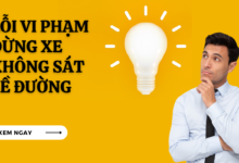Loi vi pham dung xe khong sat le duong