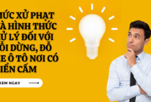 Loi vi pham dung xe noi co bien cam