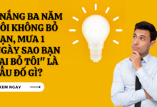Nang ba nam toi khong bo ban mua 1 ngay sao ban lai bo toi la cai gi