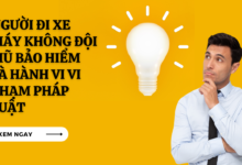 Nguoi di xe may khong doi mu bao hiem la hanh vi vi pham