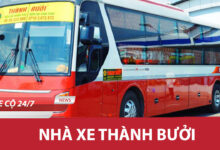 Nha Xe Thanh Buoi