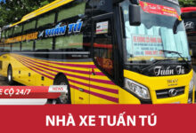 Nha xe tuan tu