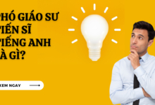 Pho giao su tien si tieng anh la gi